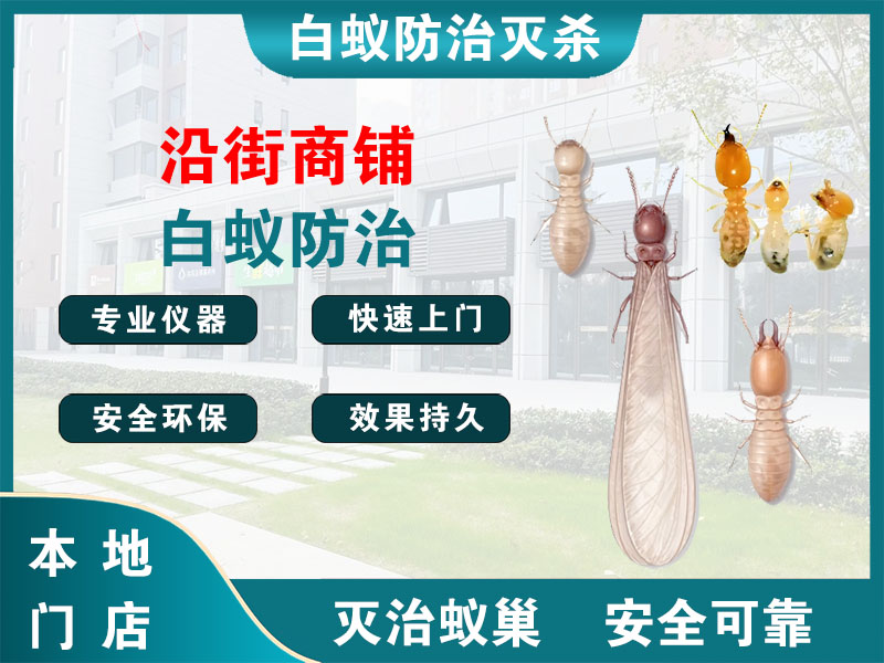张家港市沿街商铺白蚁防治
