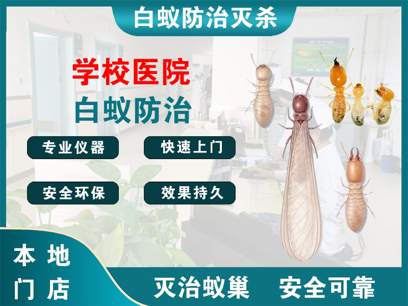 张家港市学校医院白蚁防治