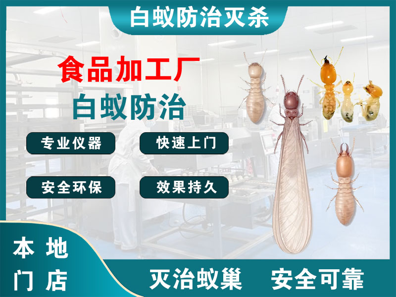 张家港市食品加工厂白蚁防治