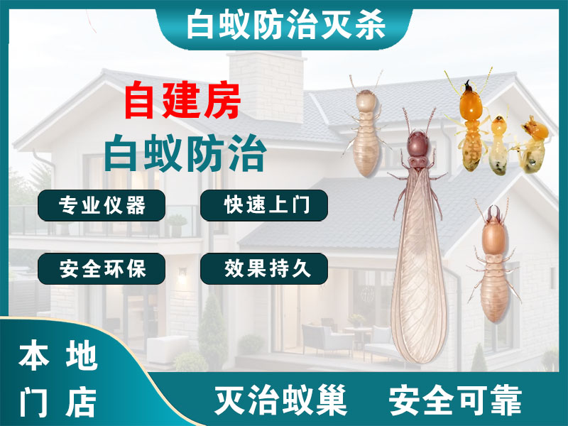 张家港市自建房白蚁防治