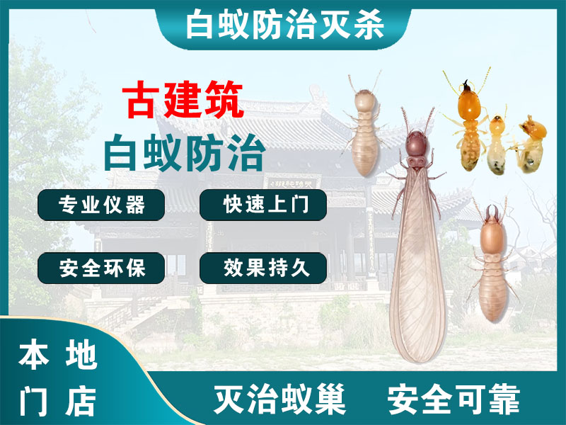 张家港市古建筑白蚁防治
