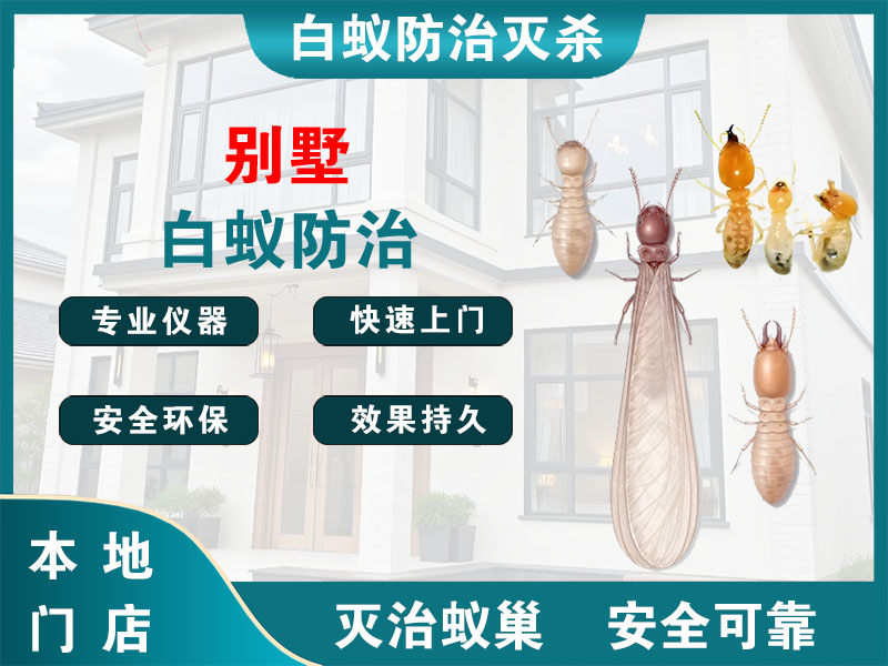 张家港市别墅白蚁防治