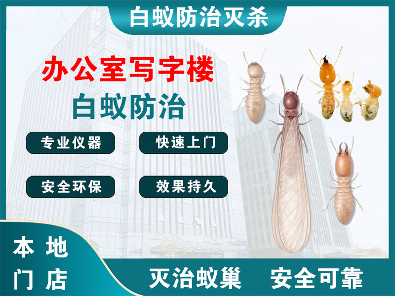 张家港市办公室写字楼白蚁防治