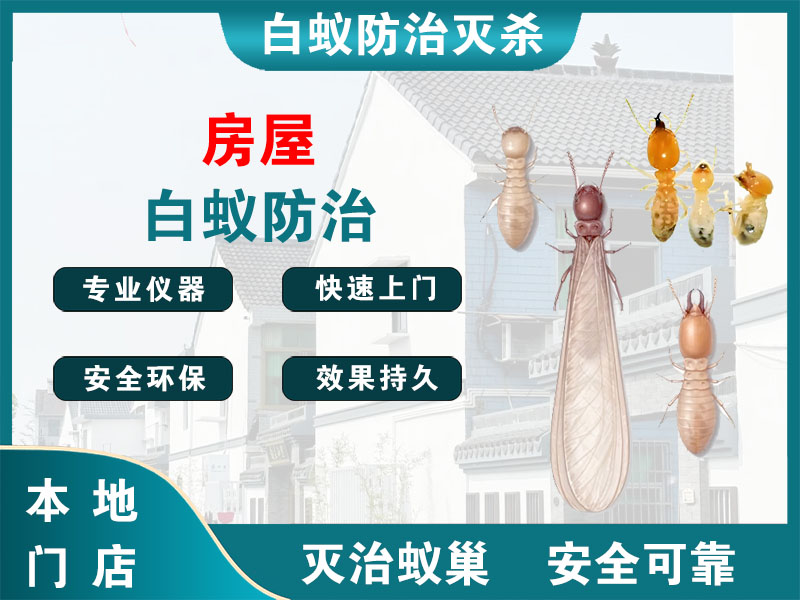 张家港市房屋白蚁防治